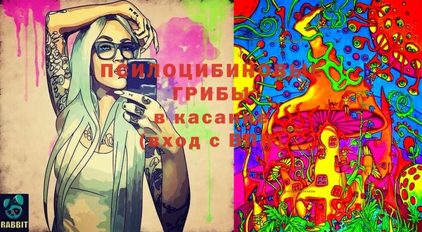 стафф Алексин