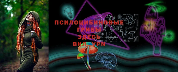 прущие крисы Россошь
