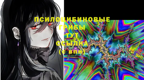 стафф Алексин