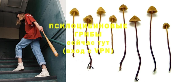 стафф Алексин