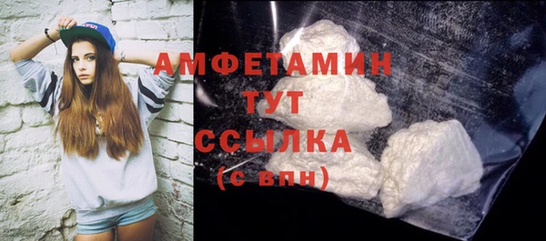 стафф Алексин