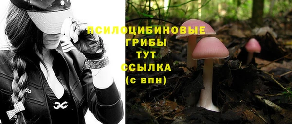 круглые Алексеевка
